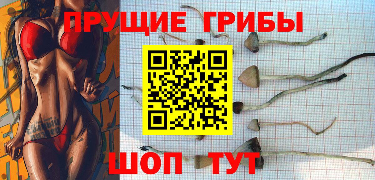 Видное  Псилоцибиновые грибы Magic Shrooms  где можно купить наркотик  Вход с VPN 